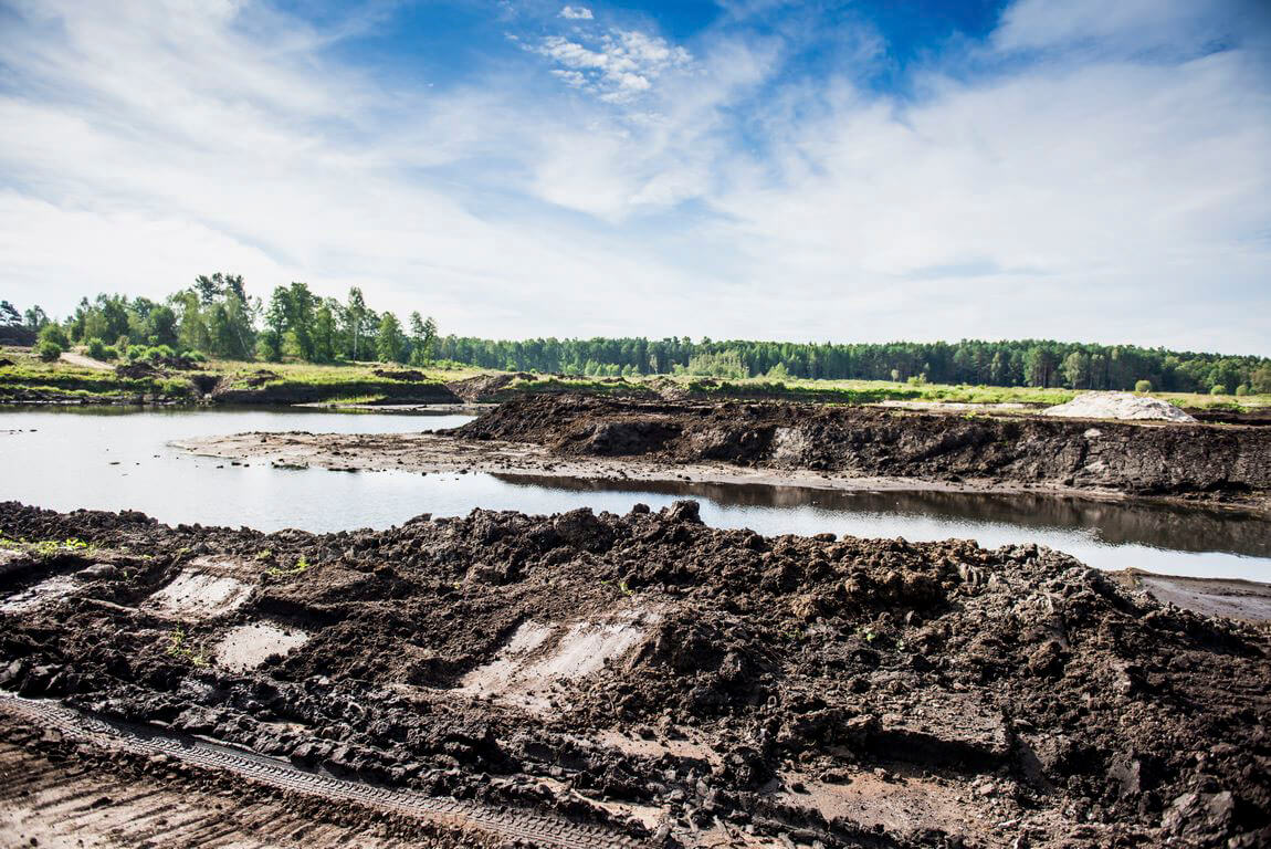 Wokas, Zakład, Gronów