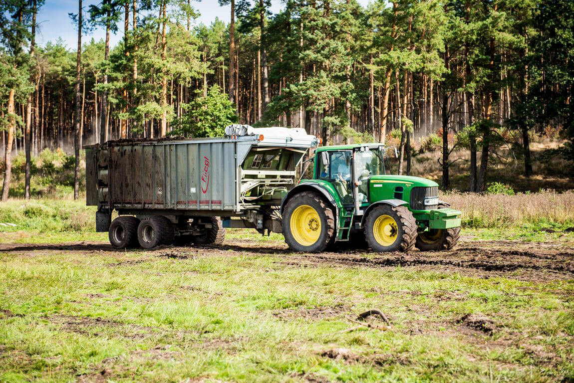 Wokas, Zakład, Gronów